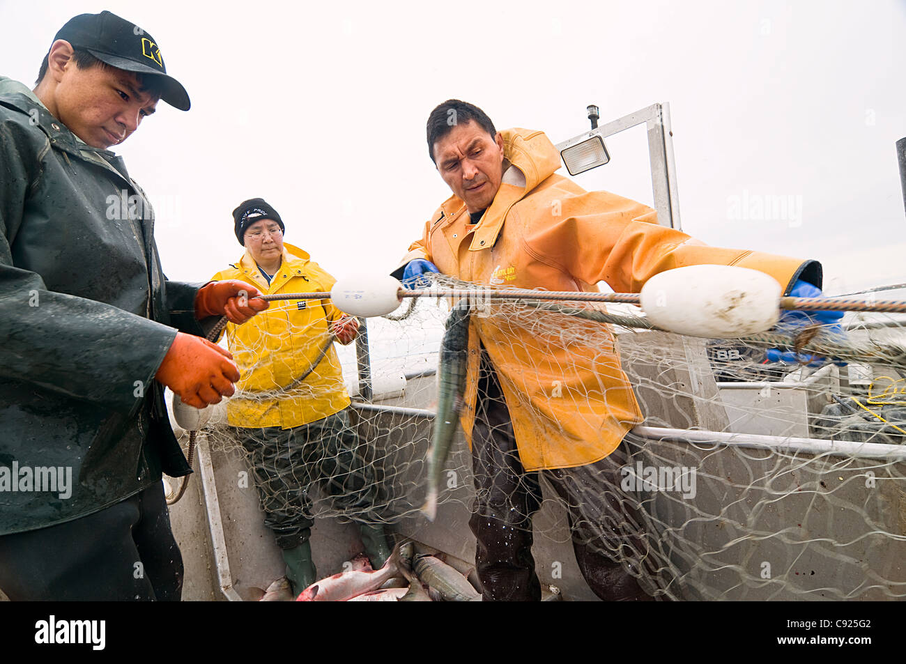 Native Family tire leur filet fixe tandis que la pêche commerciale du saumon rouge dans la baie de Bristol, au sud-ouest de l'été, AK Banque D'Images