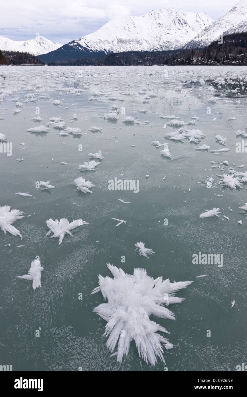 Close up de givre glace cristaux sur le sentier inférieur avec le lac gelé neige Montagnes Kenai en Alaska, l'arrière-plan Banque D'Images