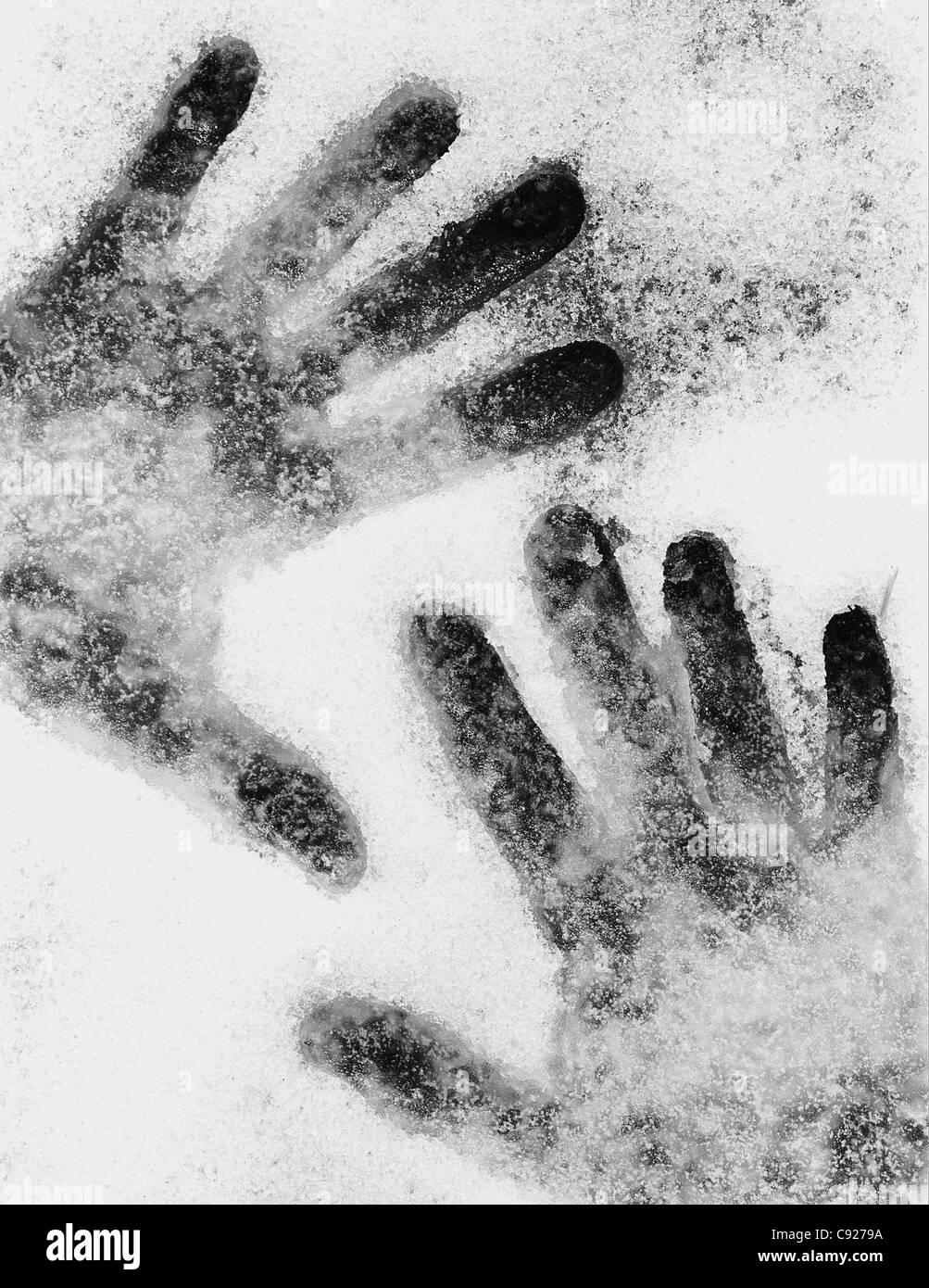 Close up of a person's handprints dans la neige fraîche, de l'Alaska Banque D'Images