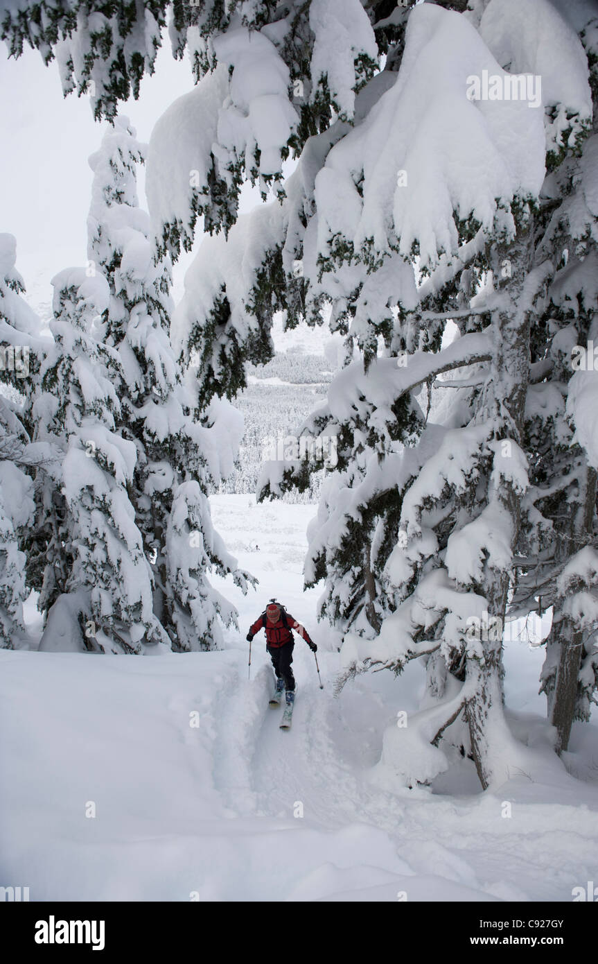 Skieur femme skins jusqu'Tincan Ridge tandis que le ski nordique dans la région de Turnagain Pass, Southcentral Alaska, Winter Banque D'Images