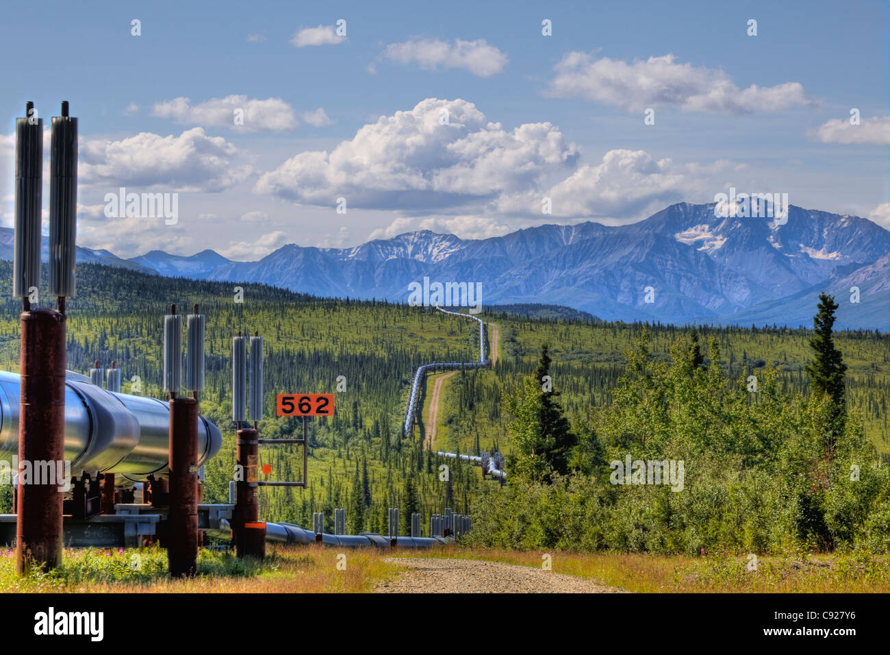 Vue de l'Alyeska Pipeline traversant la forêt du pergélisol le long de la Richardson Highway au nord de Paxson, Alaska, HDR Banque D'Images