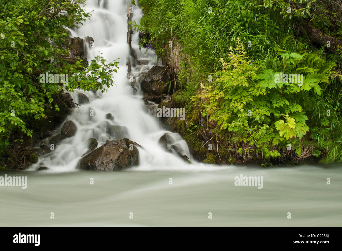 Une cascade d'eau s'écoule dans le ruisseau de granit, Col de Turnagain, l'été, la Forêt Nationale de Chugach Banque D'Images