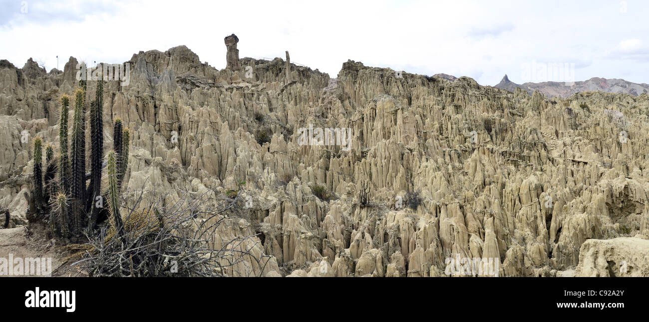 La vallée de la lune la paz Bolivie vallée d'argile lune la luna de grès de montagne désert rock pas de sentier chemin tourisme stalagmite Banque D'Images