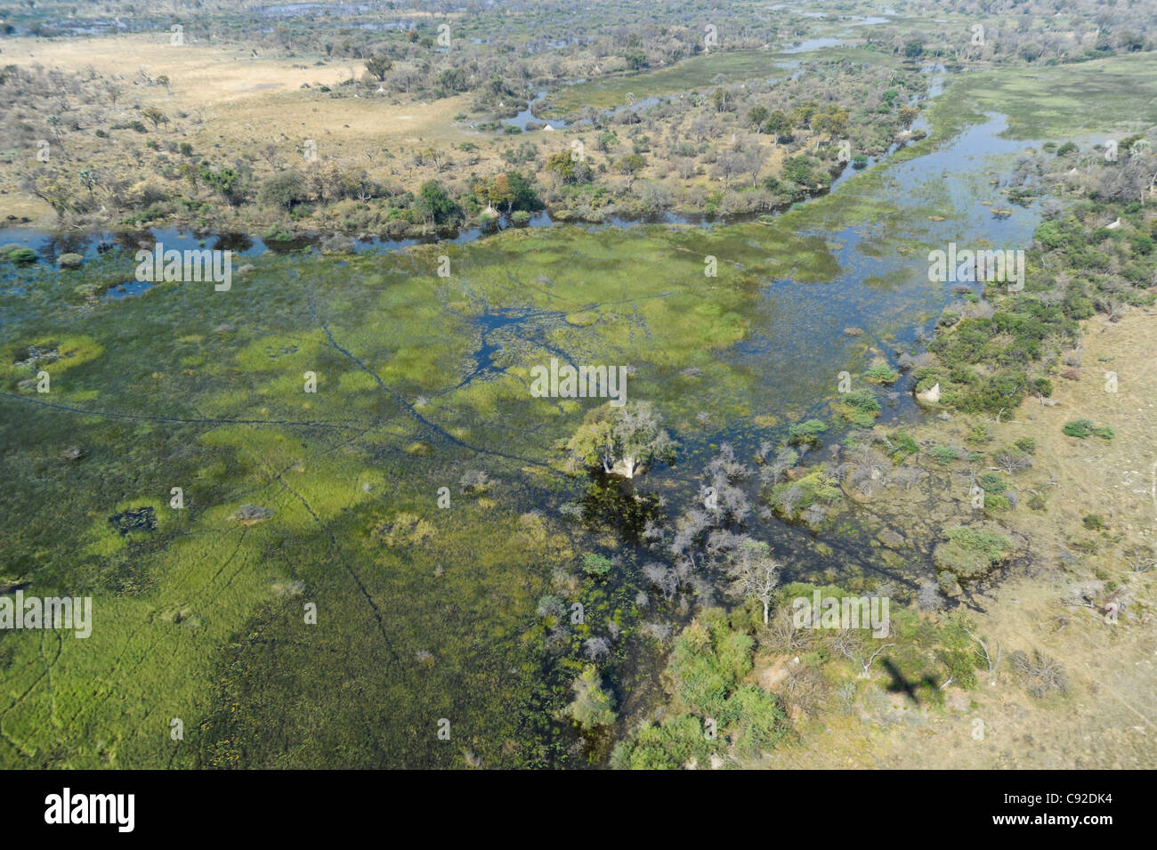 Vue aérienne de Delta de l'Okavango Banque D'Images