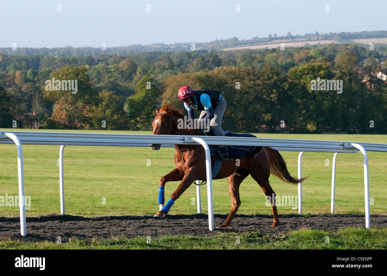 Horse racing training Banque de photographies et d’images à haute ...