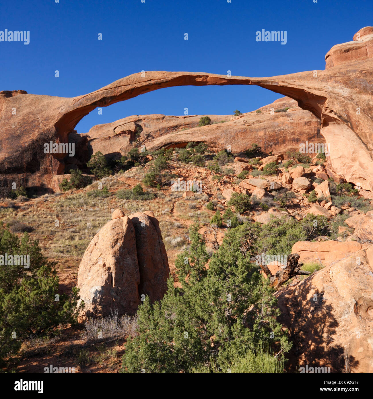 Landscape Arch, Arches National Park Banque D'Images
