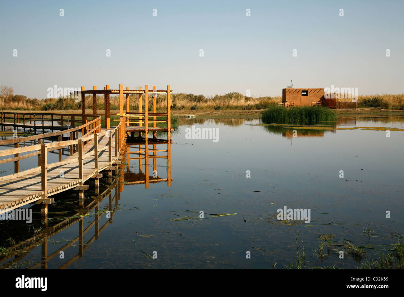 La réserve des zones humides d'Azraq, Azraq, Jordanie. Banque D'Images