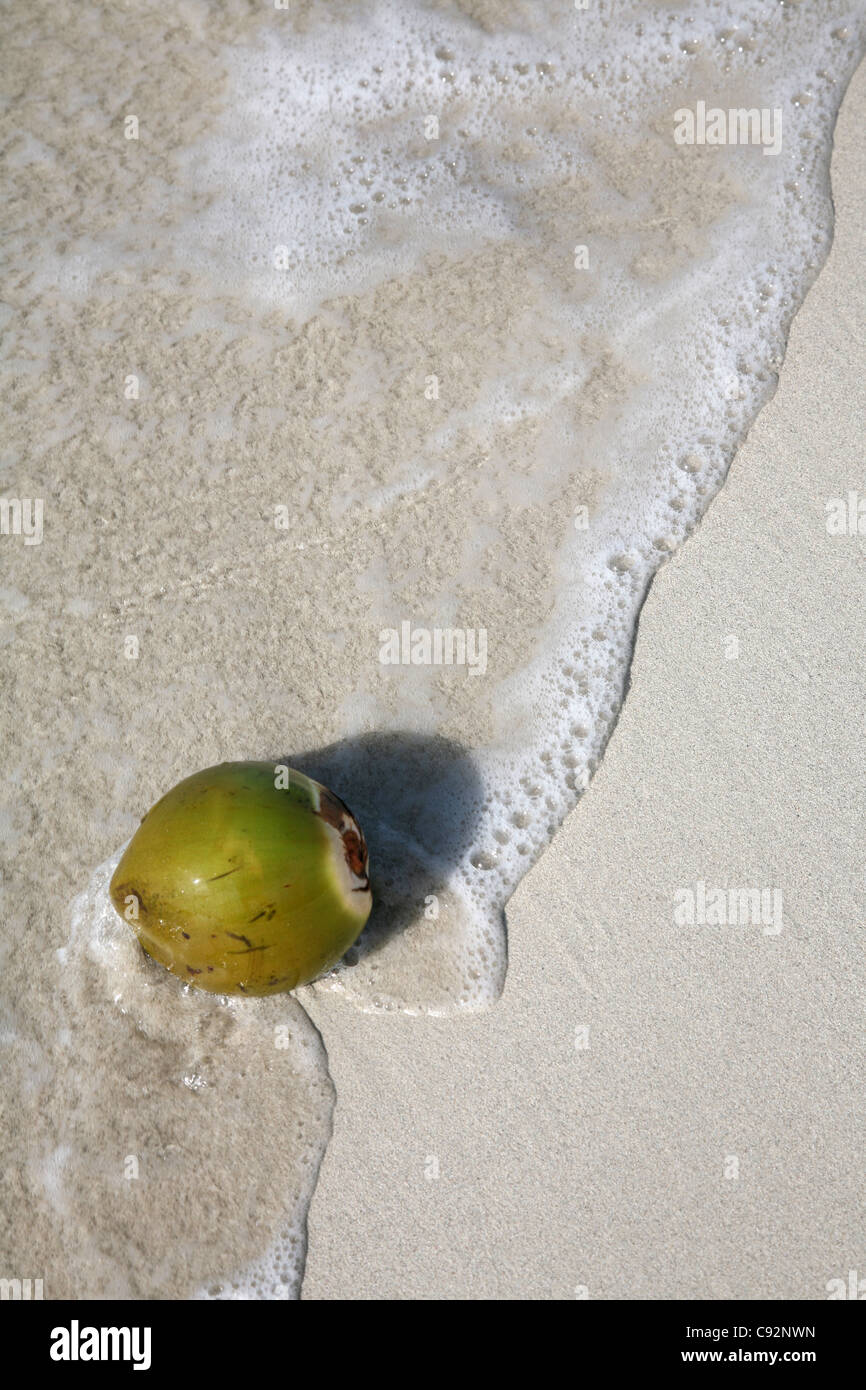 La plage de Varadero, Cuba. Banque D'Images