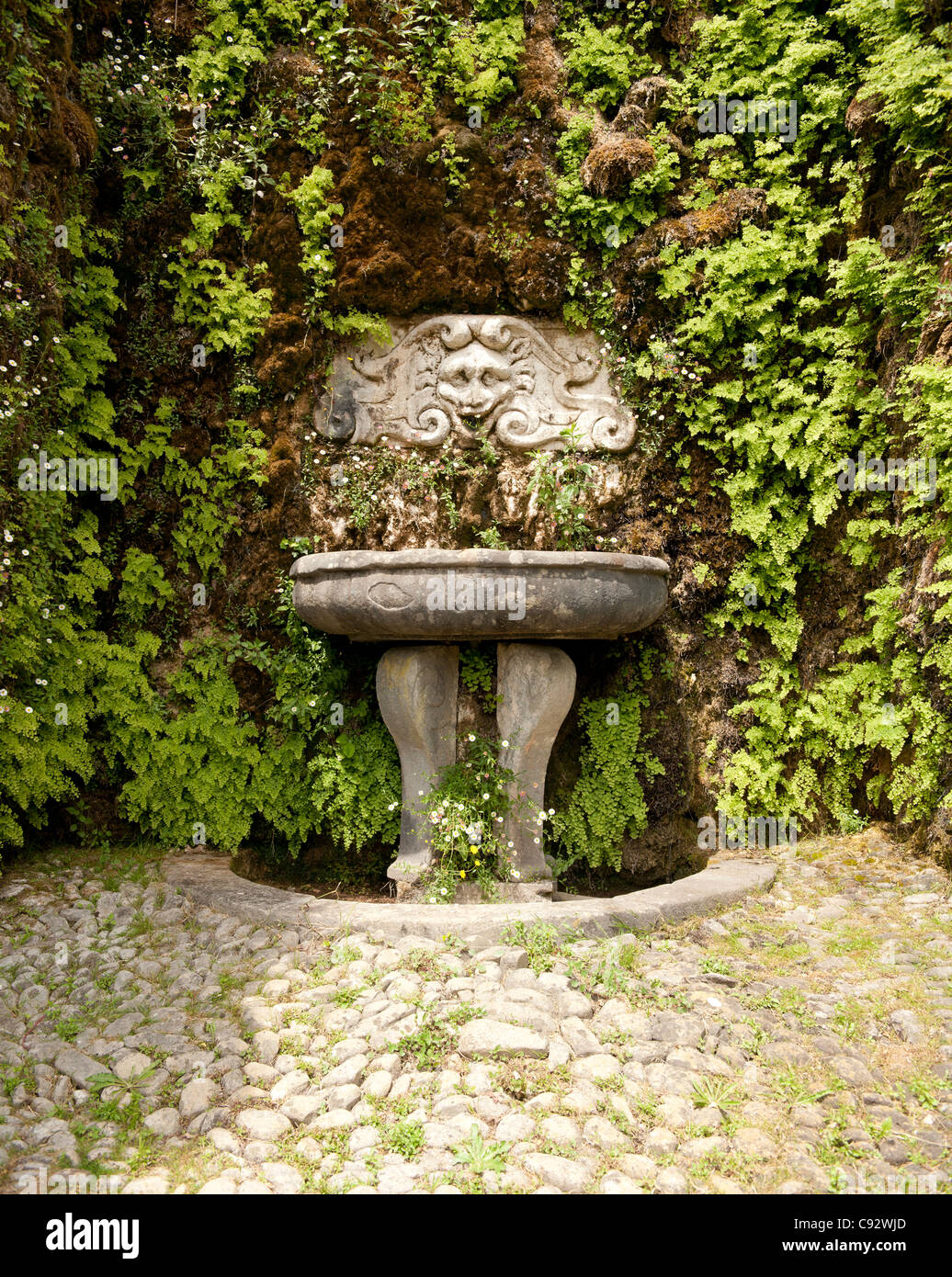 L'utilisation de visages sculptés en pierre et de caractères est commun dans la ville historique de jardins italiens. À la fontaine de parures Villa Banque D'Images