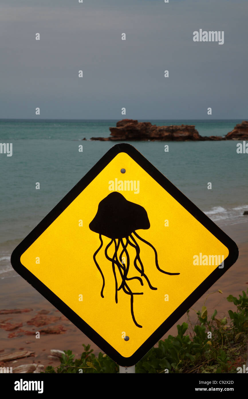 Panneau d'avertissement de méduses, Port de Broome, région de Kimberley, Western Australia, Australia Banque D'Images