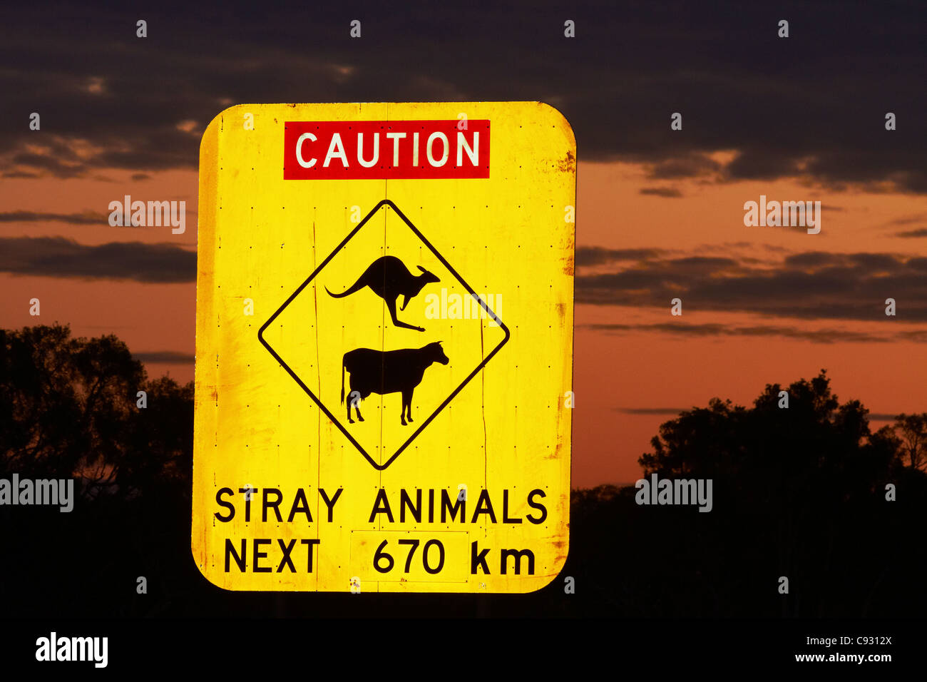 Panneau d'avertissement pour les kangourous et les vaches next 670km, au début de la Gibb River Road, près de Wyndham, région de Kimberley, Australie occidentale Banque D'Images