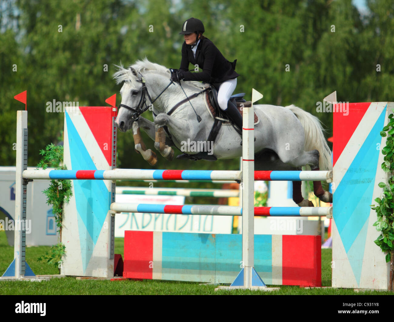 Le sport équestre. Compétition cso. Concour hoppique Banque D'Images