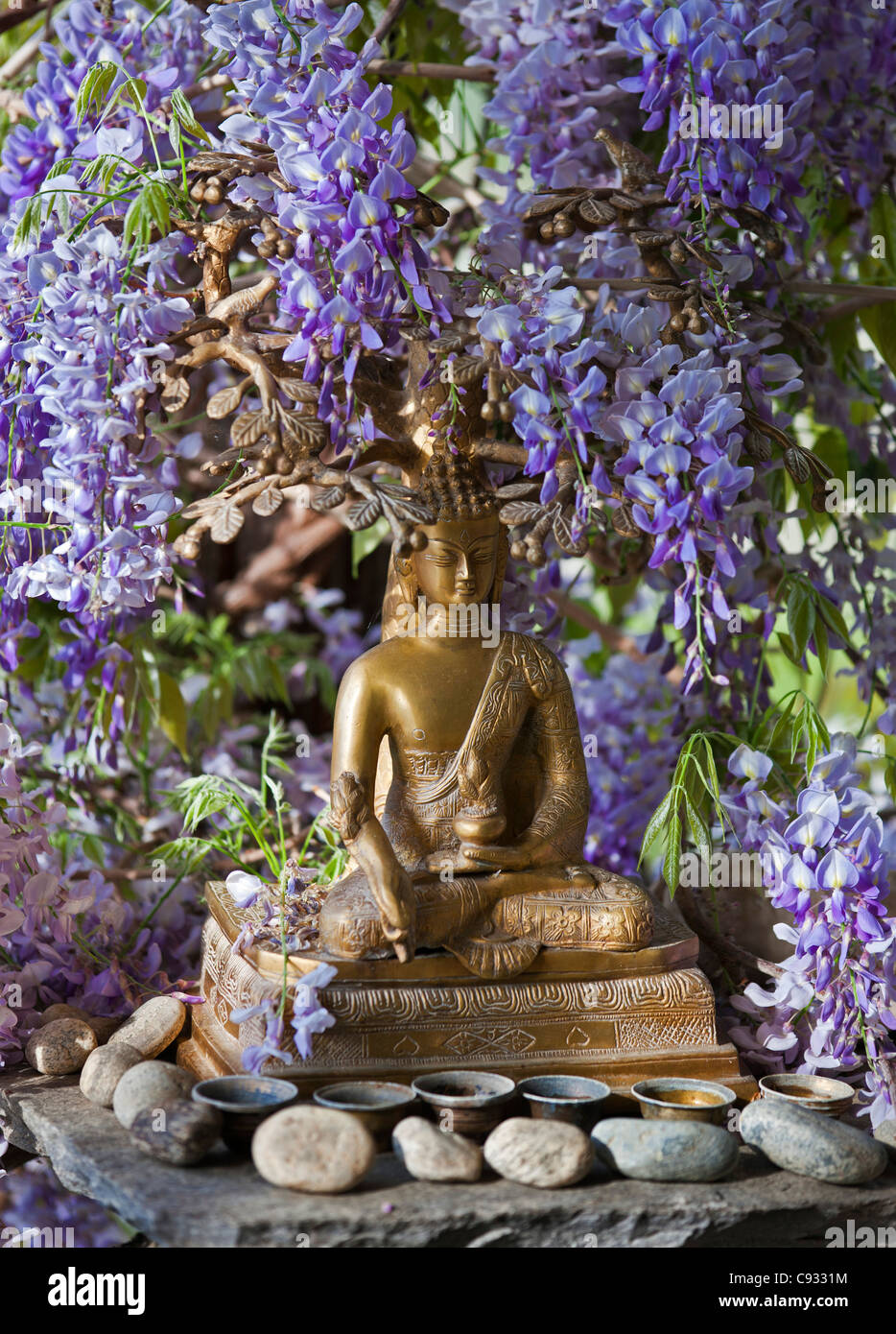 Un petit sanctuaire Bouddha entouré de glycine dans l'hôtel Gangtey Palace. Banque D'Images