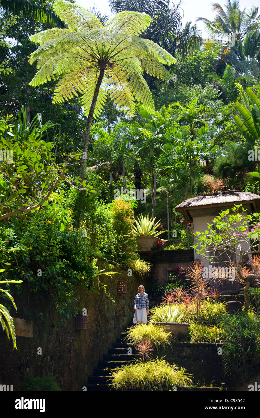Bali, Ubud. Une jeune femme fait son chemin à travers les jardins tropicaux près de Ubud. M. Banque D'Images