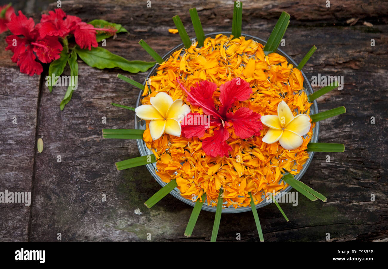 Bali, Ubud. Un bol de fleurs fraîches et des pétales pour la décoration dans un spa. Banque D'Images