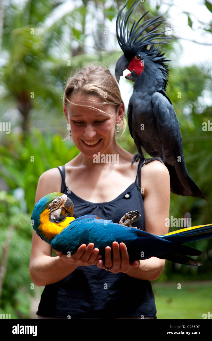 Bali, Ubud. Un touriste pose avec un assortiment d'oiseaux à Bali Bird Park. M. Banque D'Images