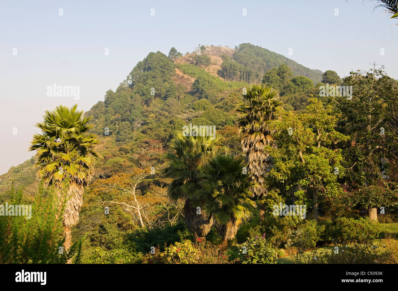 Le Malawi, Zomba. Vue depuis les jardins exotiques de la Ku Chawe Inn vers Zomba Mountain. Banque D'Images