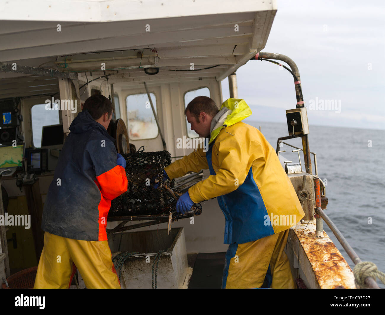 dh BATEAU DE PÊCHE ORKNEY ECOSSE pêcheurs vider le homard et le crabe de la crème à bord d'un bateau de pêche pêcheur Banque D'Images