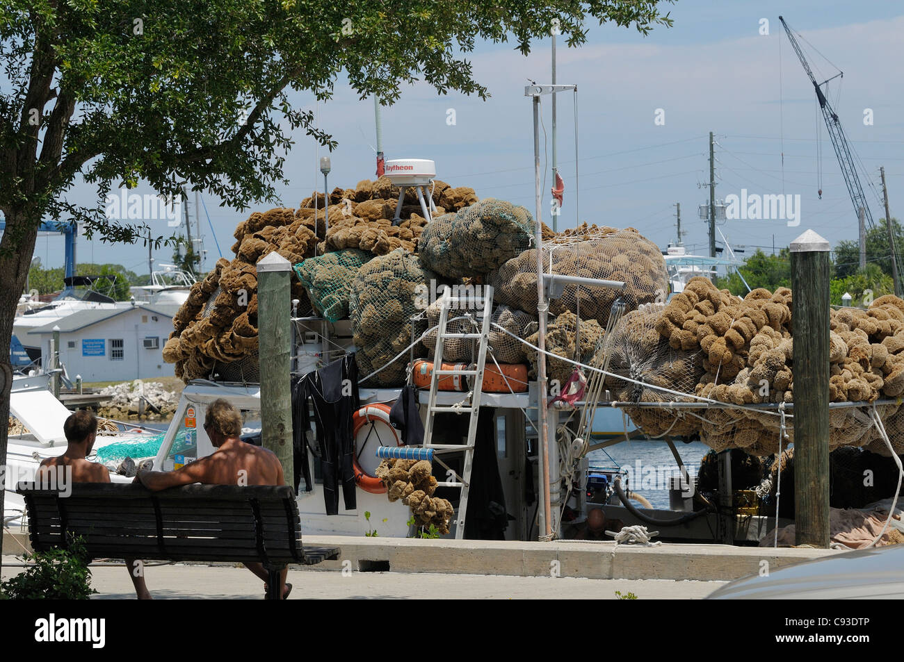 Plongée en Bateau éponge Tarpon Springs, Floride Banque D'Images