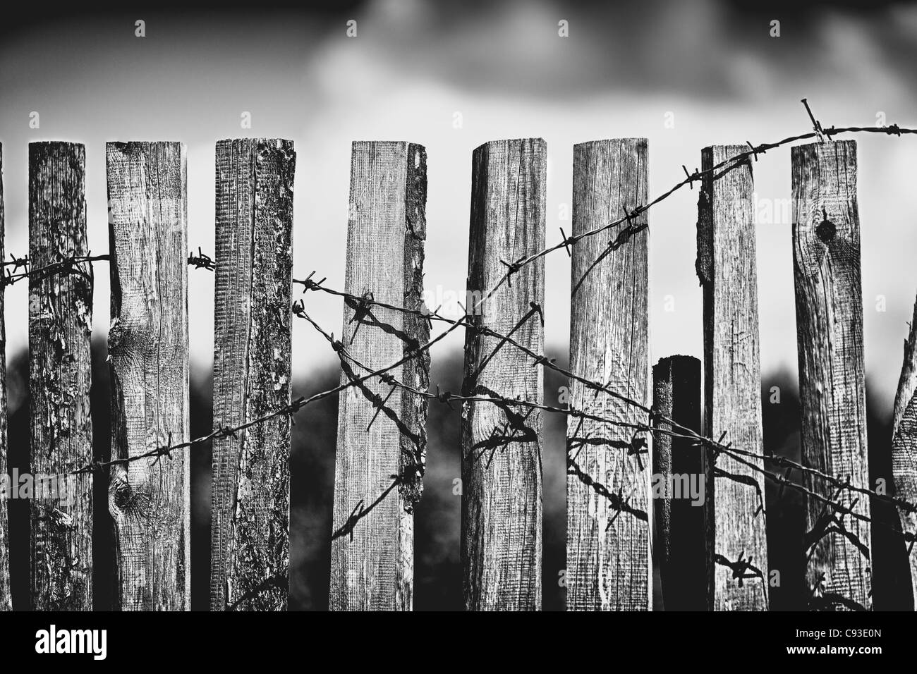 Vieille clôture en bois avec des barbelés rouillés Banque D'Images