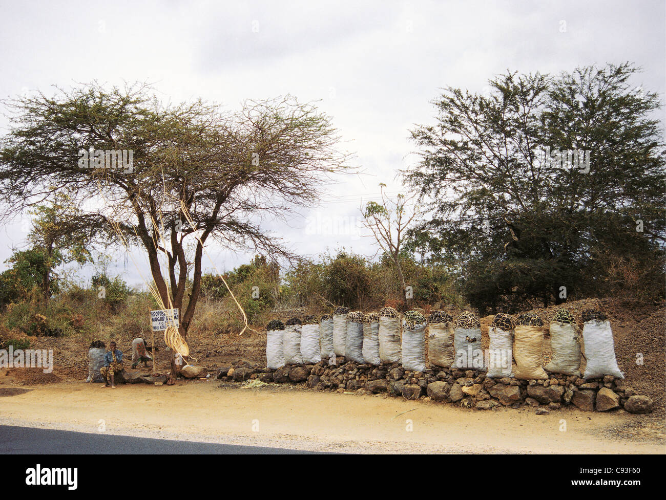 Sacs de charbon à vendre au bord de la route sur route pour le parc national de Tsavo Ouest Kenya Banque D'Images