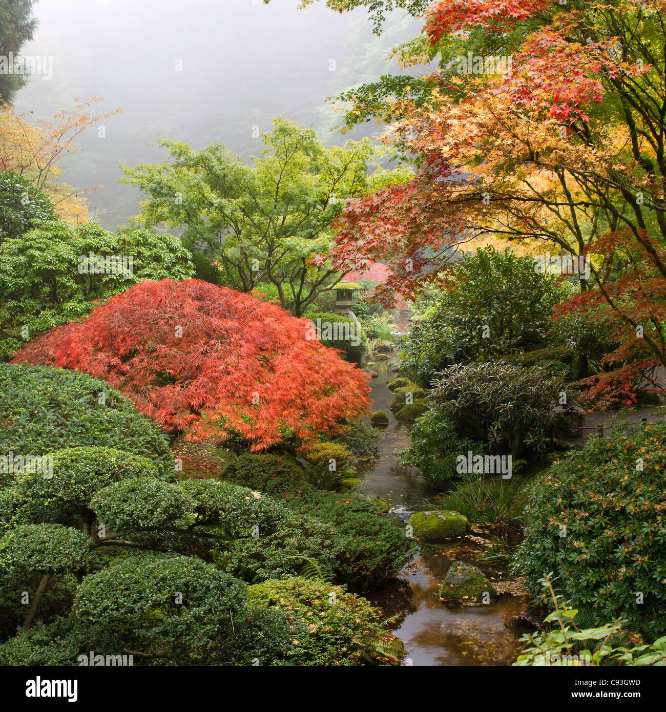 Creek au jardin japonais un matin brumeux à l'automne Banque D'Images