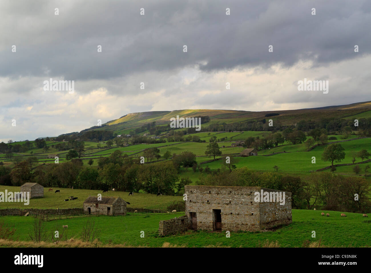 Wensleydale, près de Bambridge, Yorkshire, UK Banque D'Images