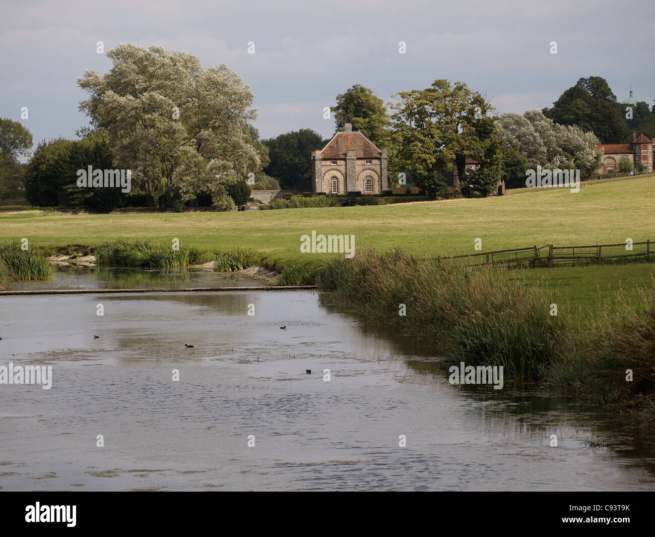 West Wycombe Park a des motifs de cygnes et beaucoup d'autres espèces sauvages Banque D'Images