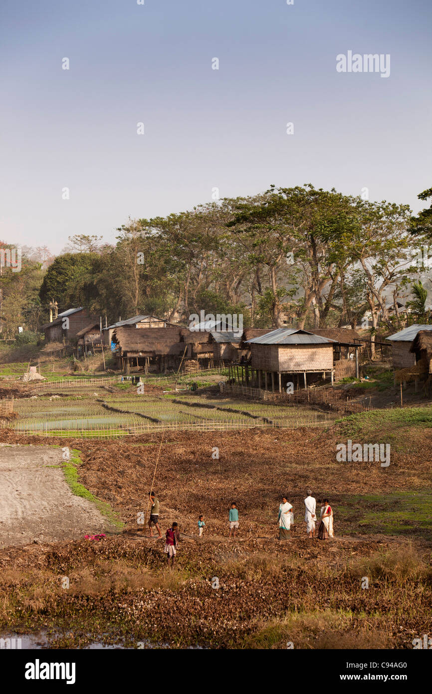 L'Inde, de l'Assam, de l'Île Majuli, l'agriculture, les travailleurs dans les champs agricoles Banque D'Images