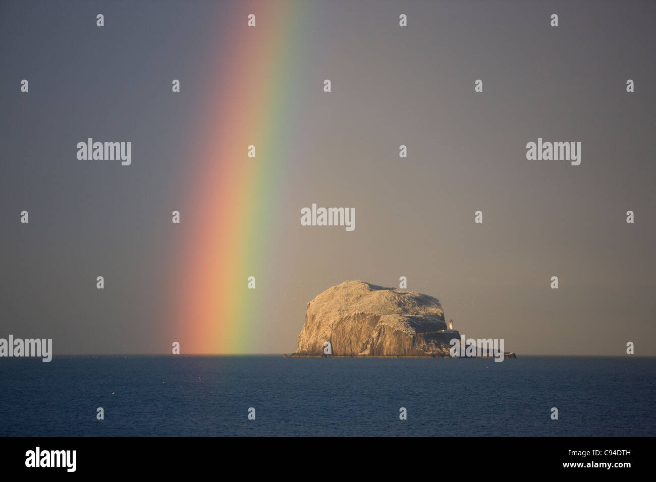 La pluie se situe autour de Bass Rock dans le soleil du soir la production d'un arc-en-ciel magnifique à l'ouest de cette dernière. Prises de North Berwick Banque D'Images