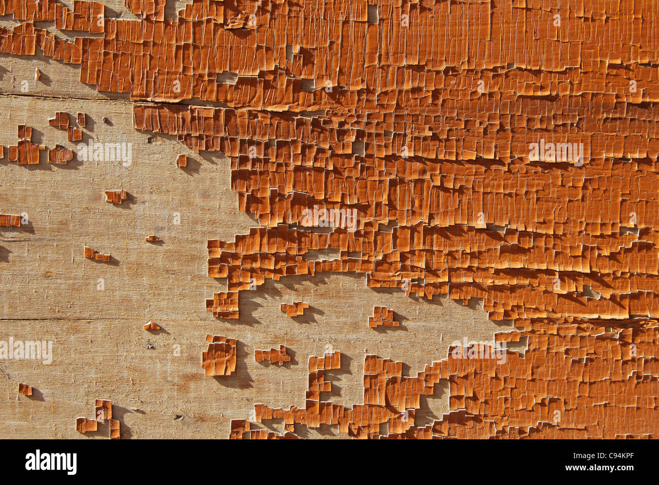 Arrière-plan de la desquamation pant orange sur un mur en bois Banque D'Images