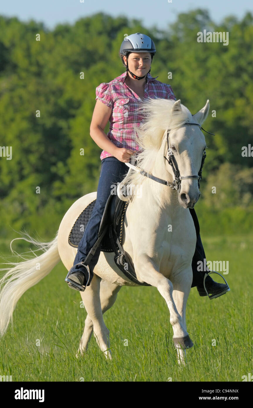 Embout De Cheval Paso Fino – Barre Avec Rouleaux Cuivre Et Acier, Tige 5.5", Neuf !