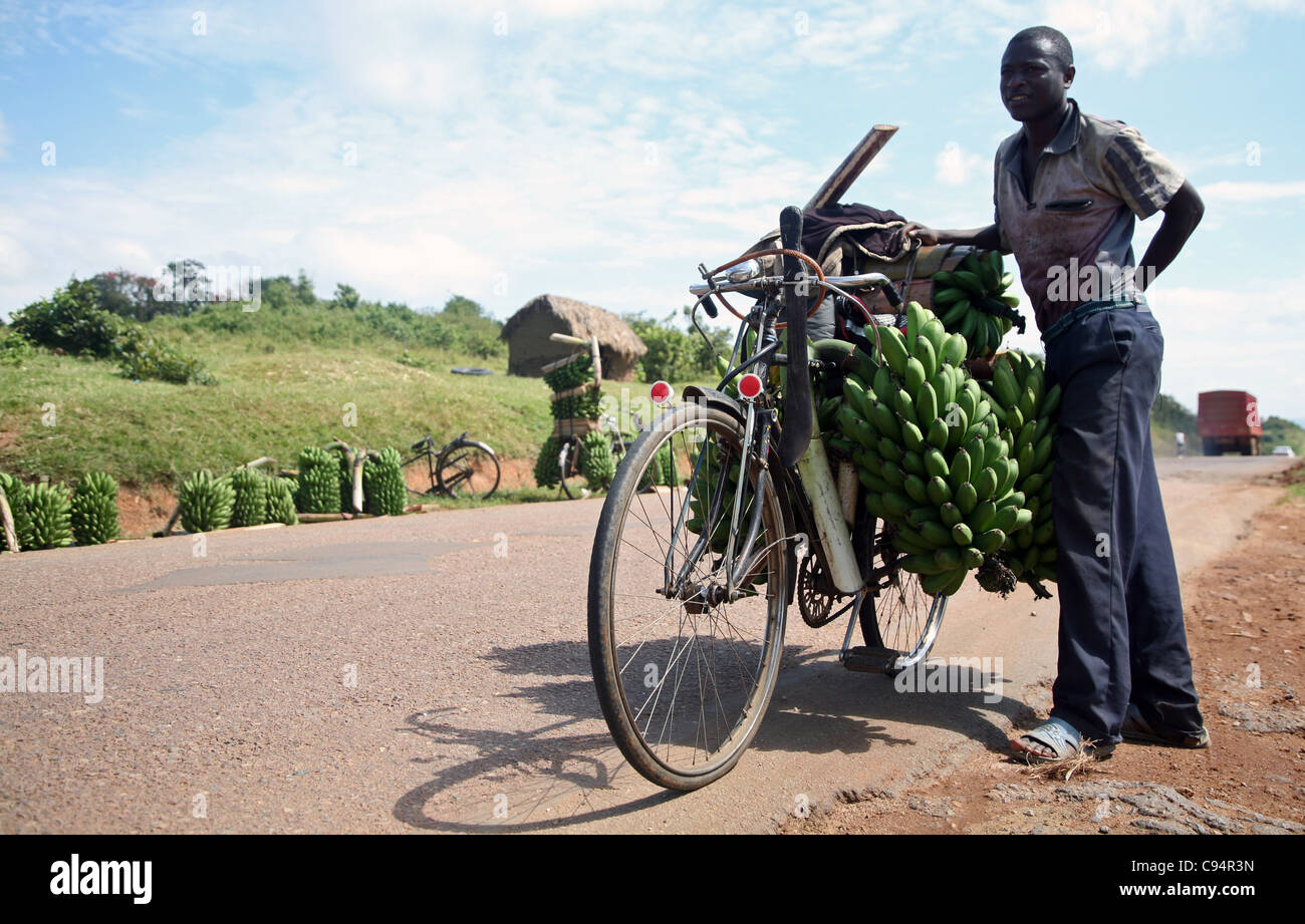 Vendeur de plantain près de Mbarara, Sud-Ouest de l'Ouganda, Afrique de l'est. 29/1/2009. Photo: Stuart Boulton/Alay Banque D'Images