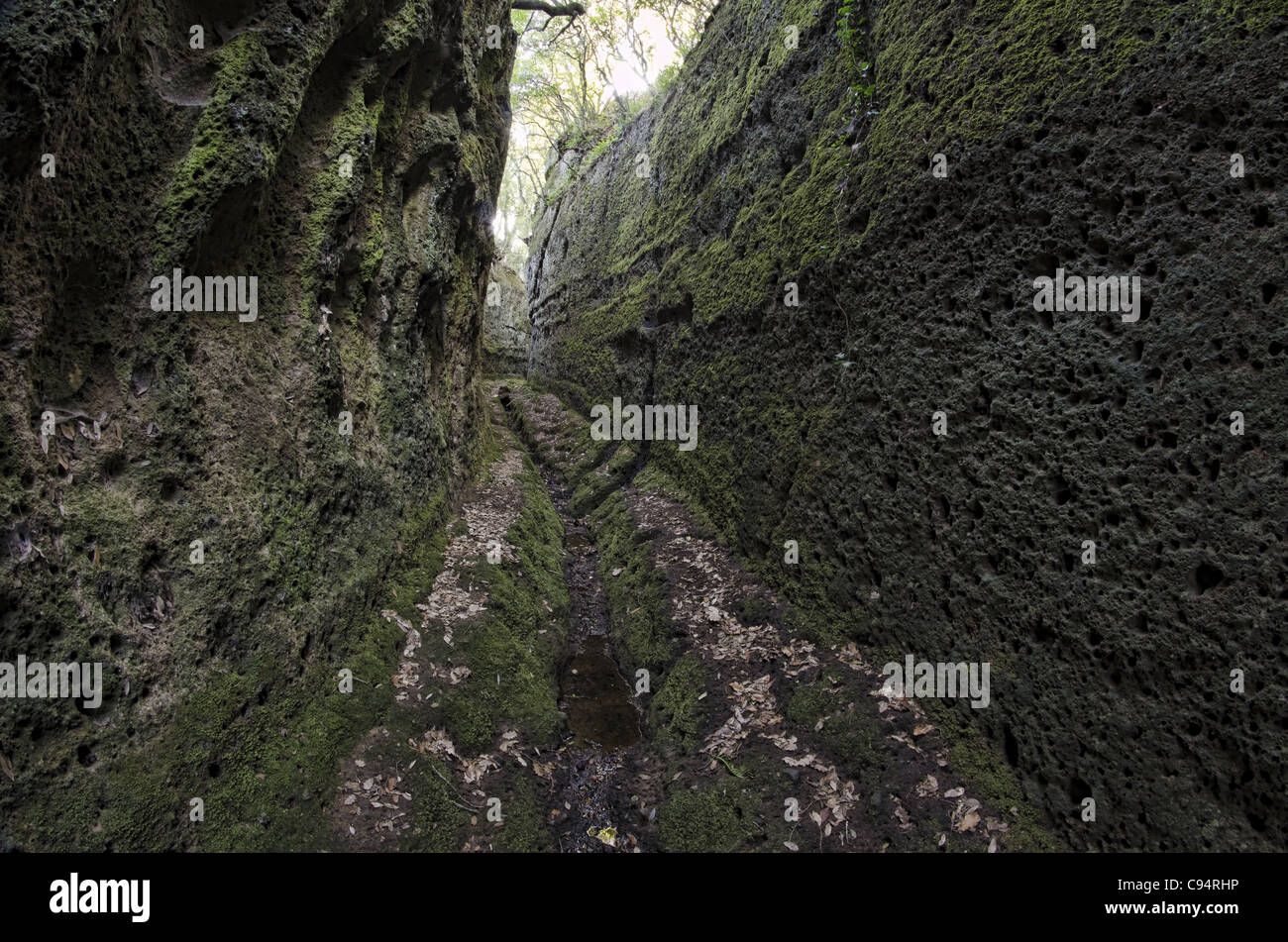 Cava Buia ou 'cave', 'Couper' étrusque suggestives. Norchia, Italie centrale. Banque D'Images