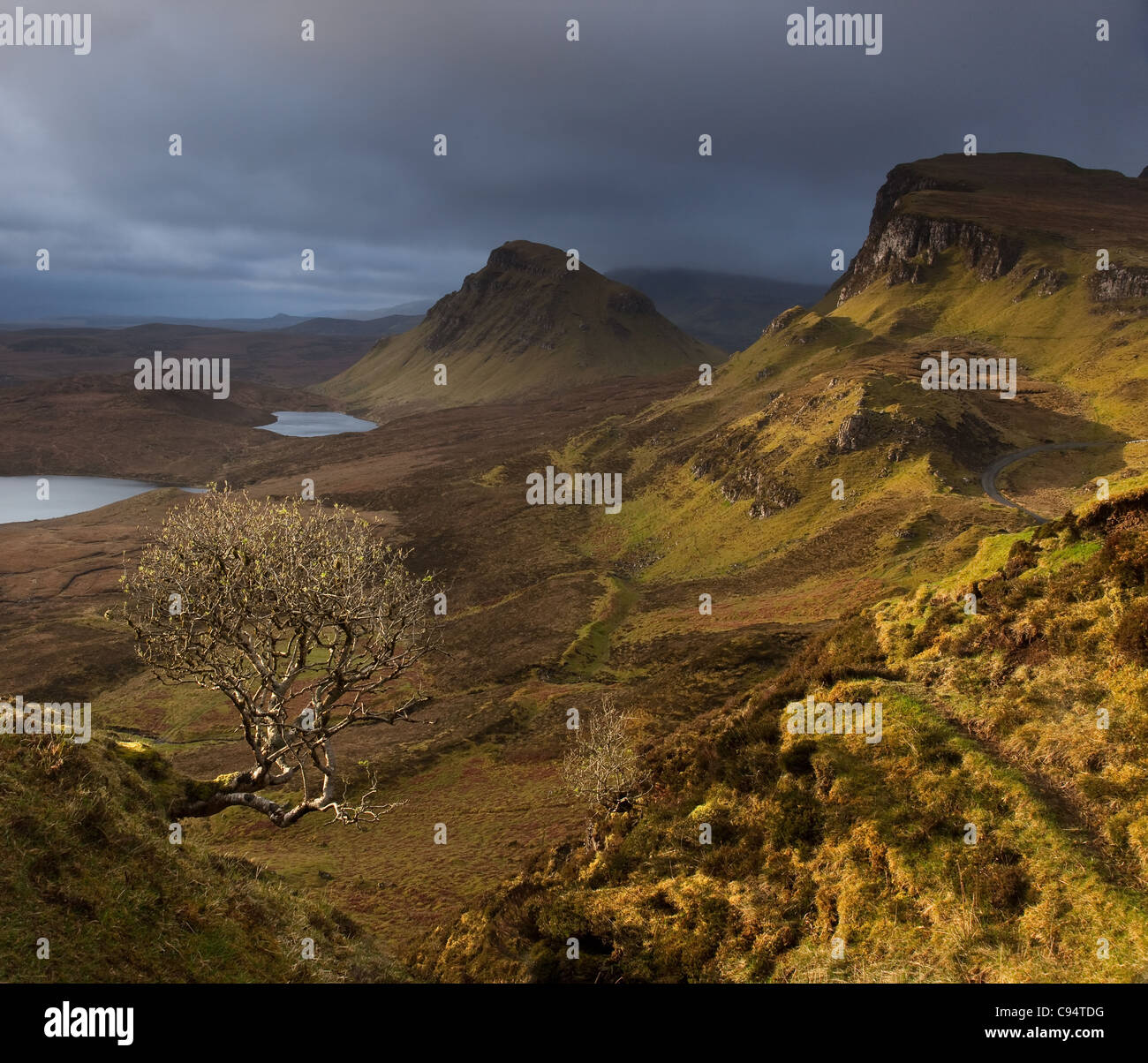 L'île de Skye Trotternish Quiraing sur un jour de tempête à l'approche de la lumière du soleil sur un arbre isolé Banque D'Images