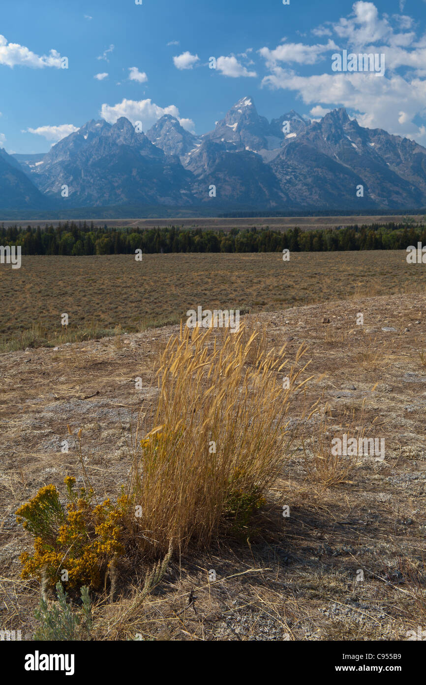 Grand Tetons de glacier view Banque D'Images