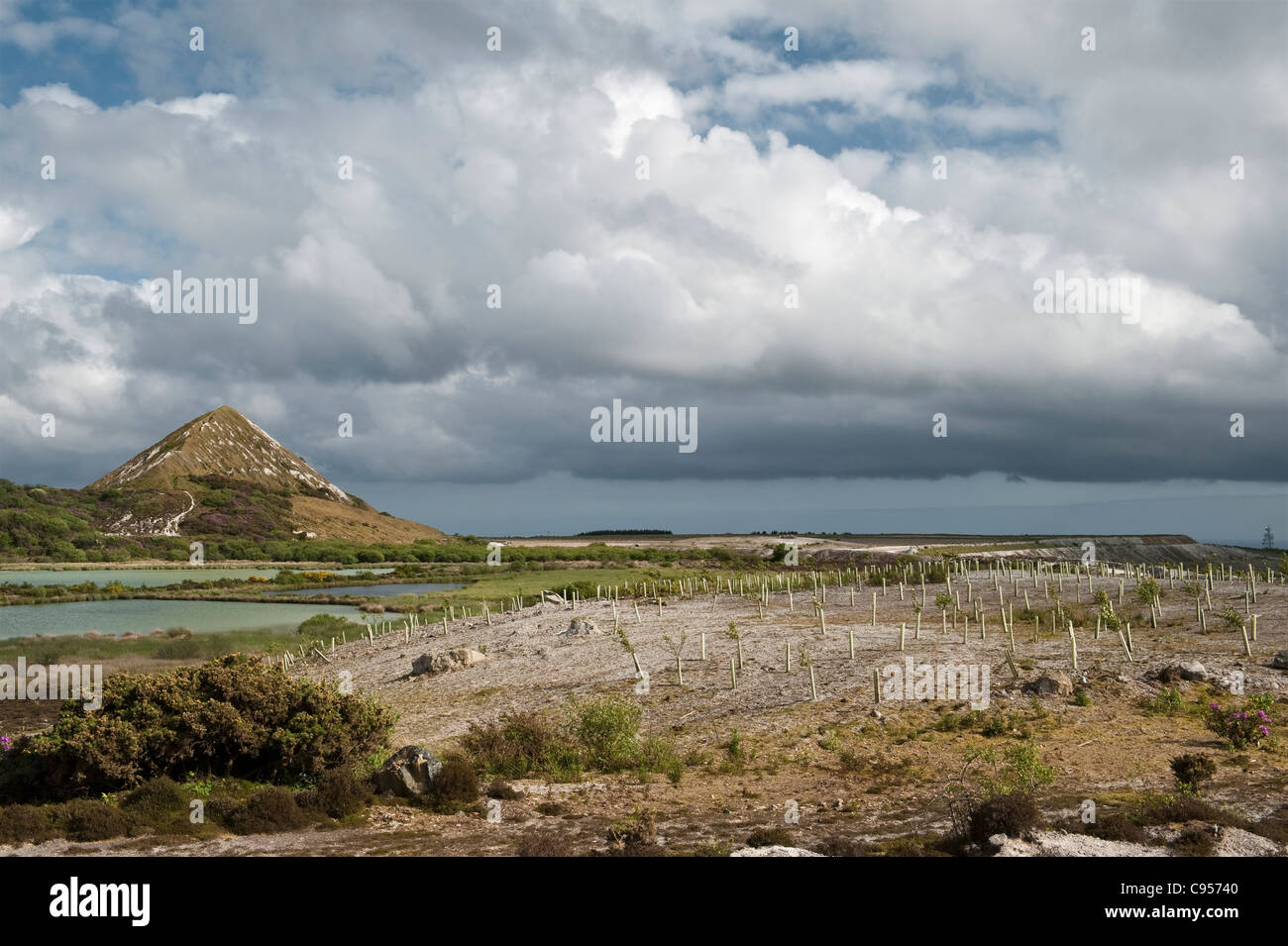 Une vieille mine d'argile chinoise et un tas de gâterie au-dessus de St Austell, Cornwall, Royaume-Uni. Des arbres ont été plantés pour aider à récupérer le site Banque D'Images