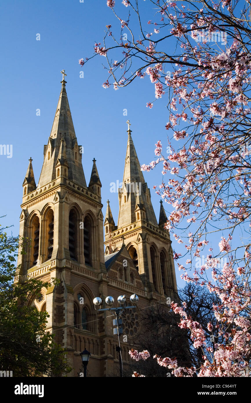La Cathédrale St Pierre dans la région de North Adelaide. Adélaïde, Australie du Sud, Australie Banque D'Images