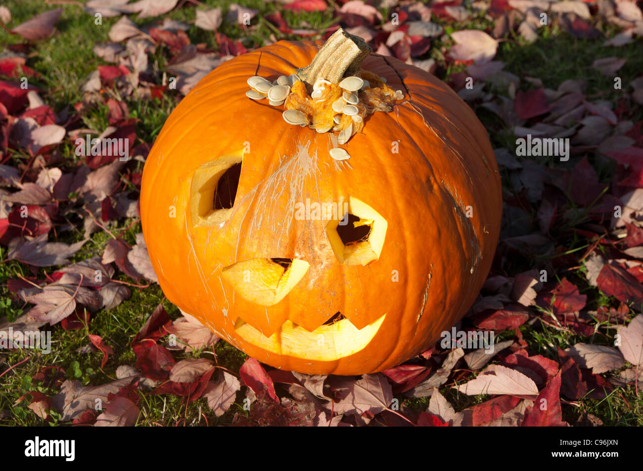 Halloween Jack O' Lanternes taillée dans un pumpkiin. Banque D'Images