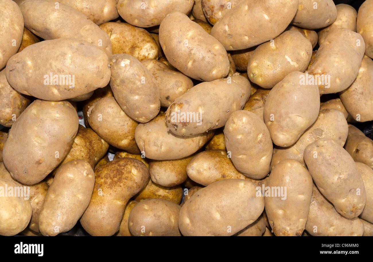 L'Idaho russet fraîchement récoltés pommes de terre sur l'écran du marché agricole Banque D'Images