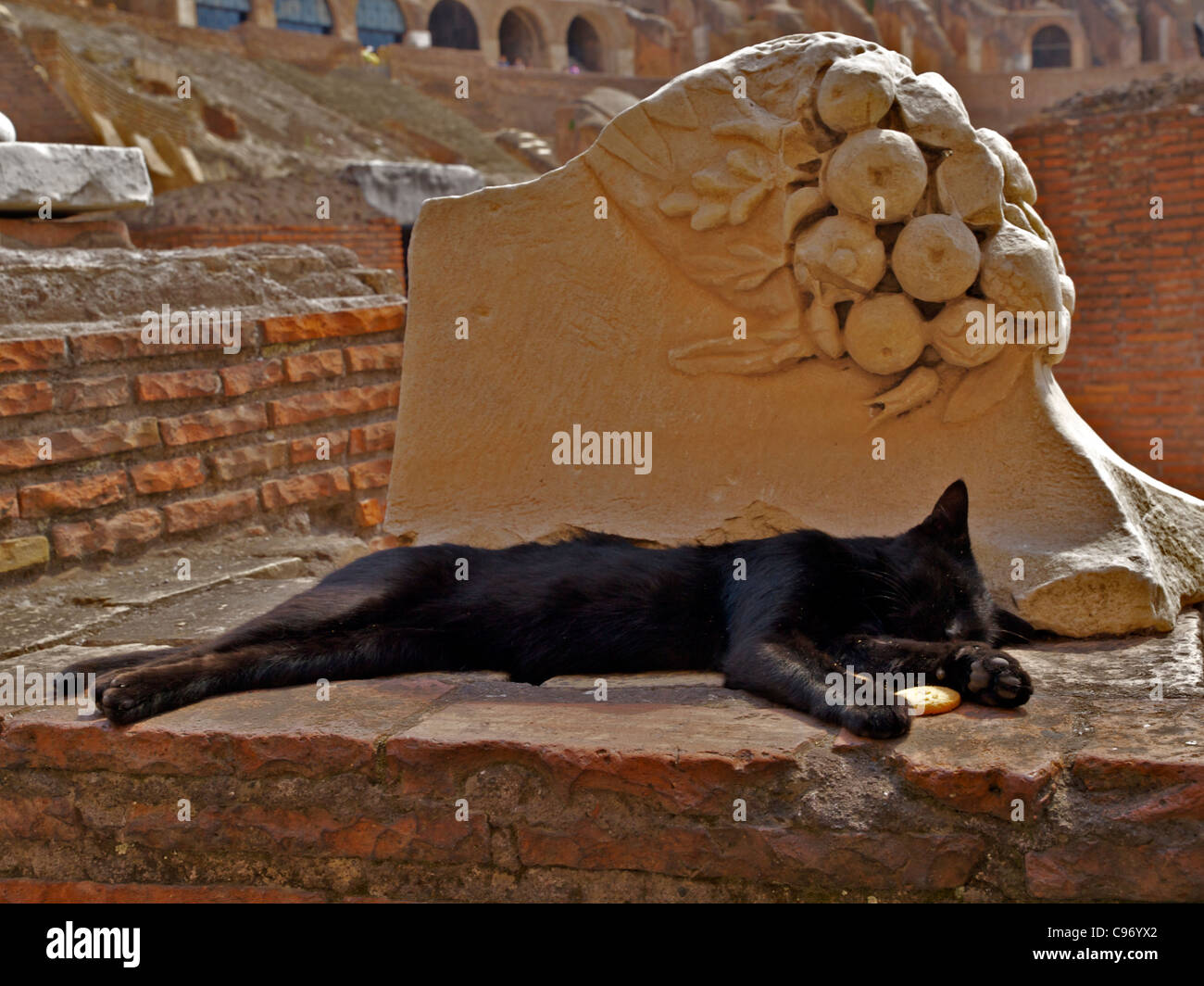 Chat noir couchage au Colisée Banque D'Images