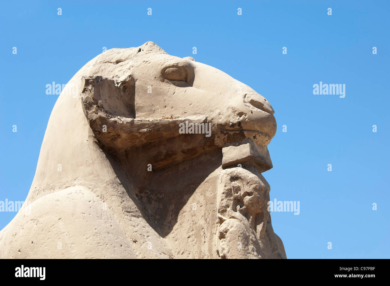 Ram Head Sphinx, au Temple de Karnak, Louxor Banque D'Images