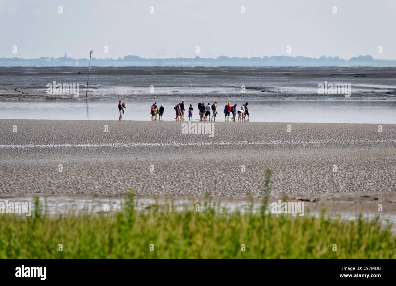 Plage de Fedderwardersiel, Mer du Nord, le Parc National de la Basse-Saxe, vasières Butjadingen, Basse-Saxe, Allemagne Banque D'Images