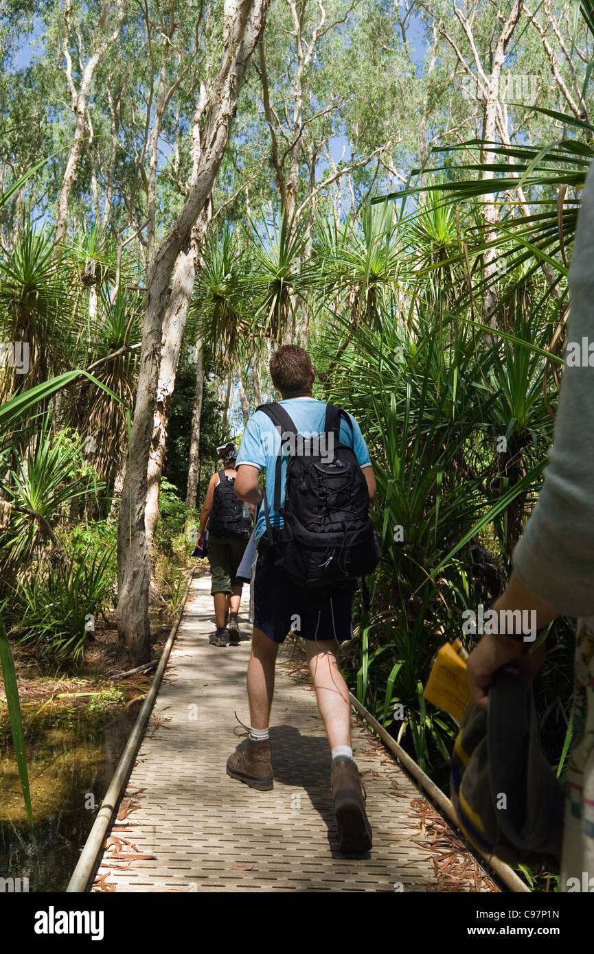Mousson du nord Banque de photographies et d’images à haute résolution