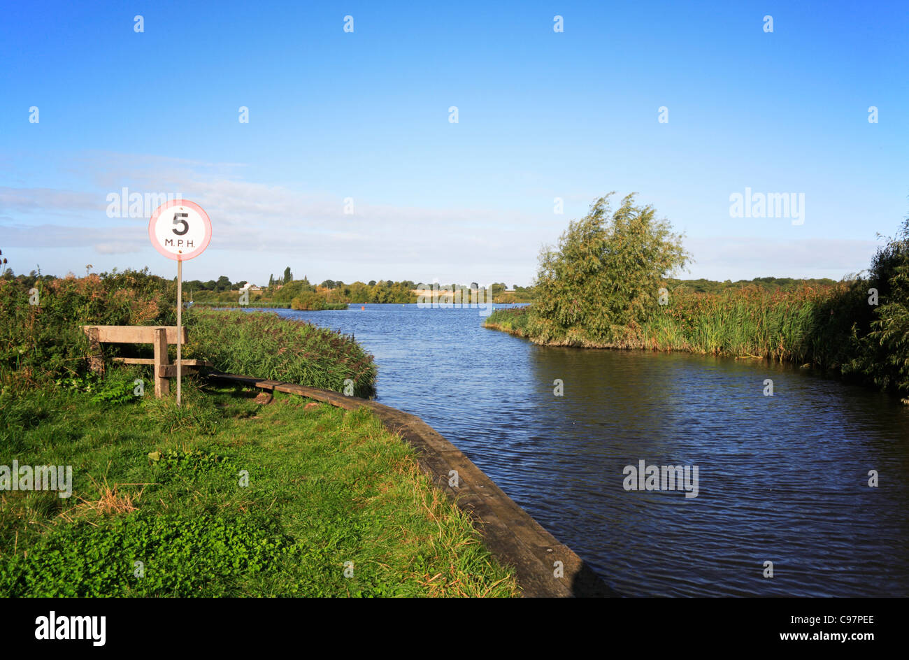 Vue sur les Norfolk Broads à l'entrée de la digue court en Rockland Large, Norfolk, Angleterre, Royaume-Uni. Banque D'Images