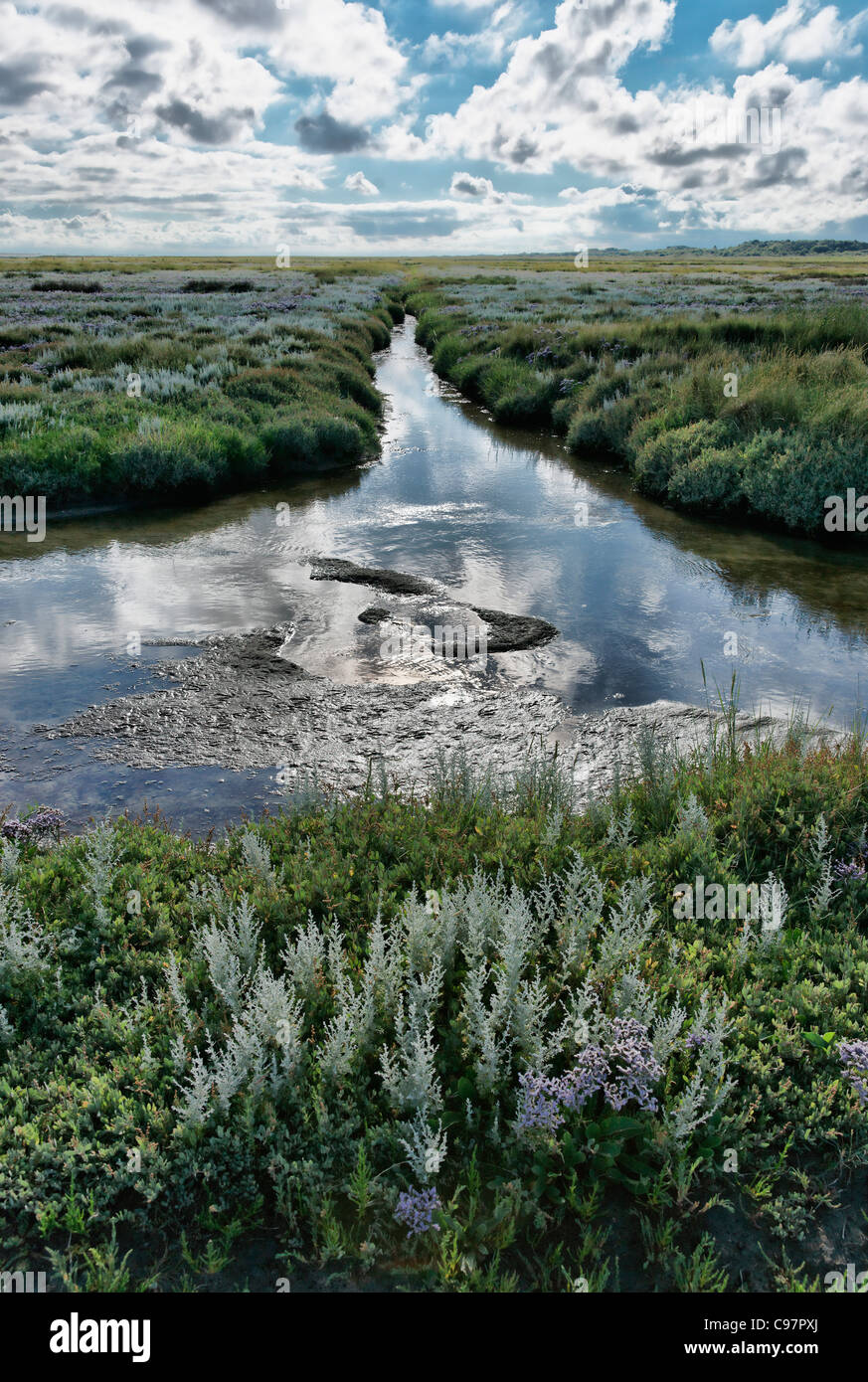 Salt Marsh, reflet de nuages dans l'eau, Règlement Loog, Mer du Nord, l'île de Juist Frise orientale, Basse-Saxe, Allemagne Banque D'Images