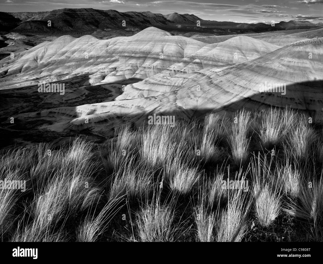 L'herbe et collines peintes. John Day Fossil jumeaux National Monument. Oregon Banque D'Images