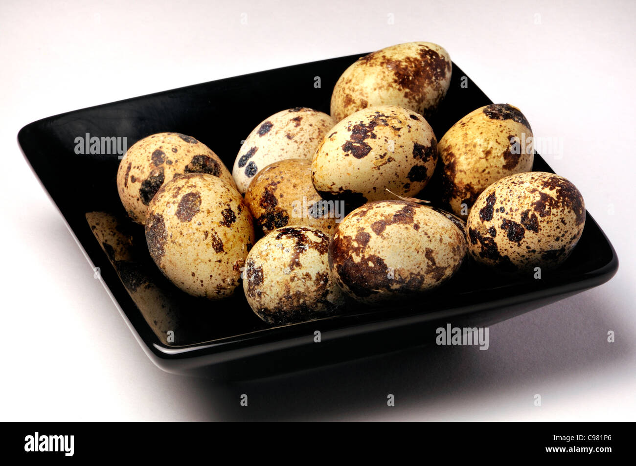 Des oeufs de cailles dans un bol Banque D'Images