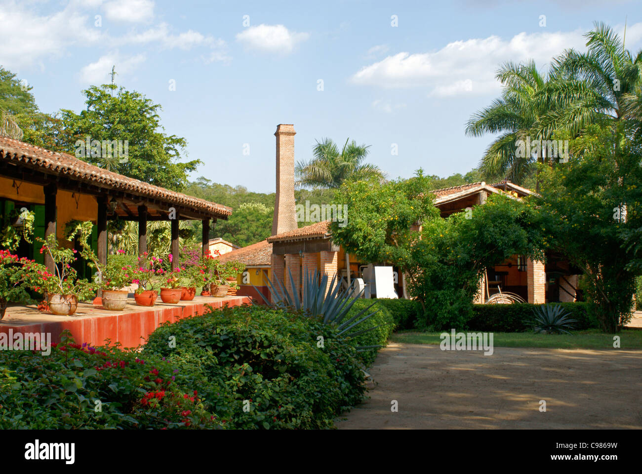 Le Los Osuna.blue agave spiritueux usine près de Mazatlán, Sinaloa, Mexique Banque D'Images