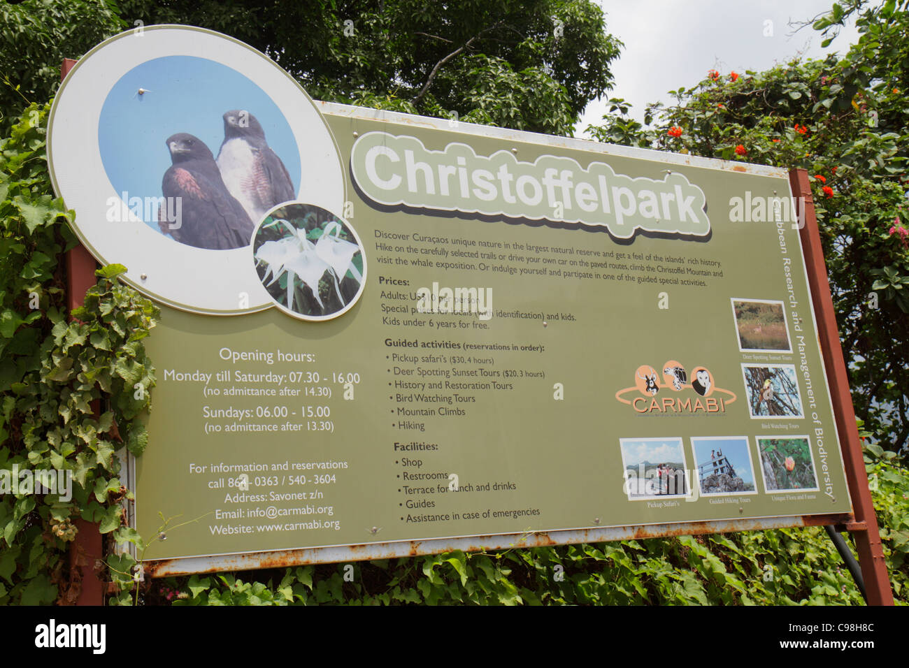 Curaçao,pays-Bas Leeward Antilles néerlandaises,ABC Islands,Dutch,Piscadera,Christoffelpark,CARMABI,gestion de la biodiversité,conservation de la nature,flore,faune,fr Banque D'Images